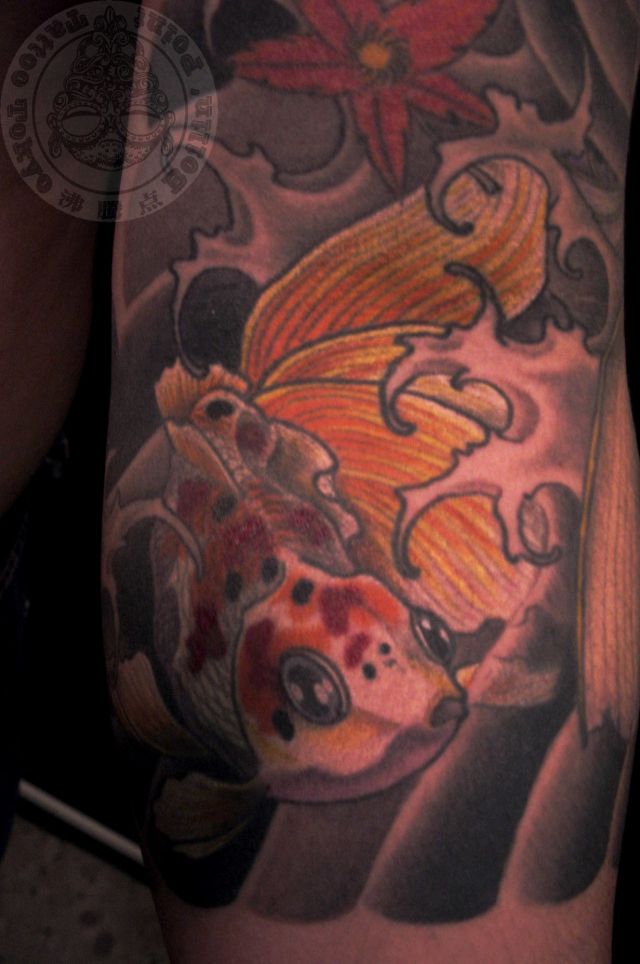 腕,鯉,額,金魚,カラータトゥー/刺青デザイン画像
