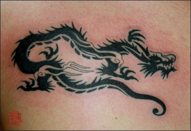 背中,龍,トライバルタトゥー/刺青デザイン画像