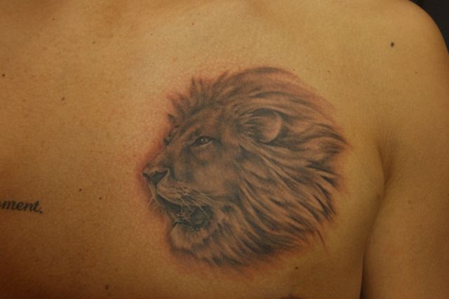 胸,男性,ライオン,動物,ブラック＆グレイ,ブラック＆グレータトゥー/刺青デザイン画像