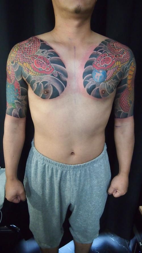 腕,肩,胸,胸割り,蛇,菊,カラータトゥー/刺青デザイン画像