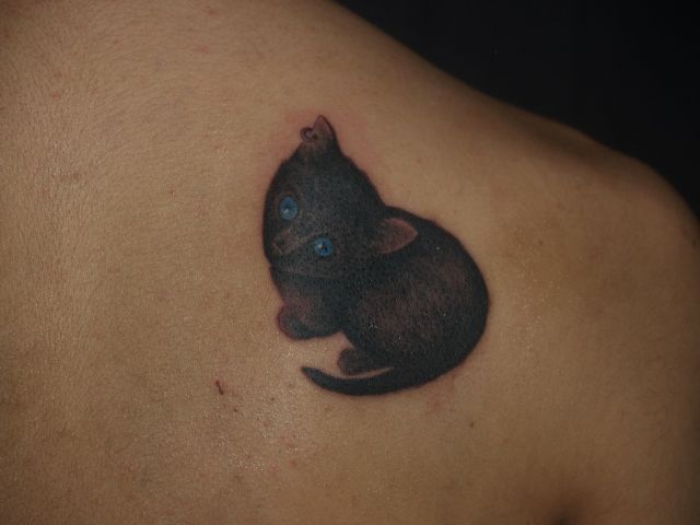 背中,肩,猫,ブラック＆グレー,カラー,青タトゥー/刺青デザイン画像