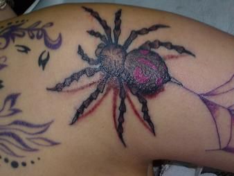 蜘蛛,腕,カラータトゥー/刺青デザイン画像