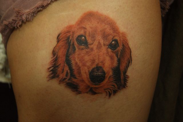 足,太もも,犬,ポートレイト,リアリスティック,カラータトゥー/刺青デザイン画像