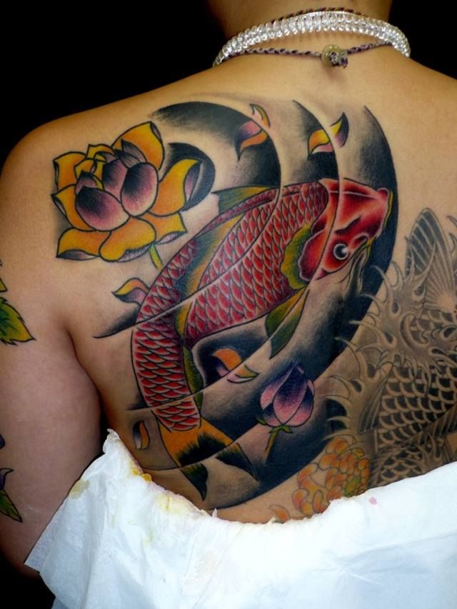背中,女性,鯉,カラータトゥー/刺青デザイン画像