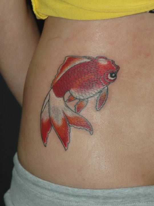 腰,金魚,カラータトゥー/刺青デザイン画像