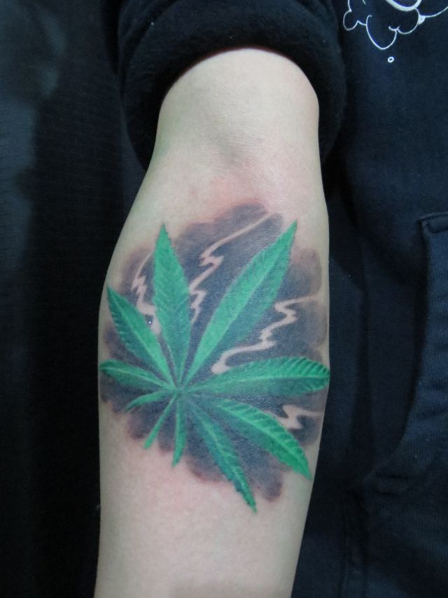 腕,植物,カラータトゥー/刺青デザイン画像