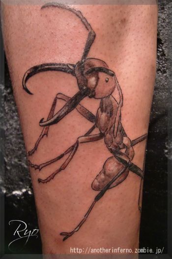 蟻,ブラック＆グレータトゥー/刺青デザイン画像