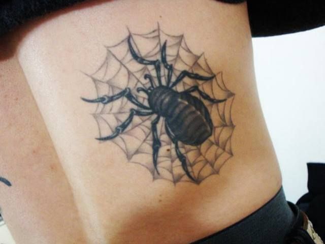 腰,蜘蛛,蜘蛛糸,蜘蛛の巣,蜘蛛の糸,ブラック＆グレータトゥー/刺青デザイン画像
