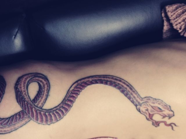背中,蛇,カラータトゥー/刺青デザイン画像