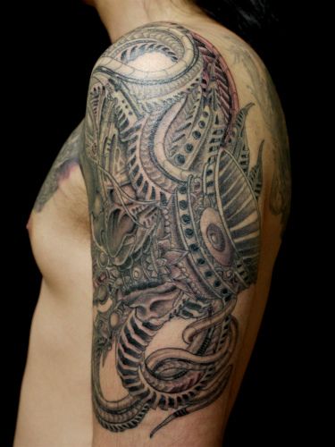 腕,二の腕,蛇,般若,五分袖,胸,バイオタトゥー,ブラック＆グレイタトゥー/刺青デザイン画像