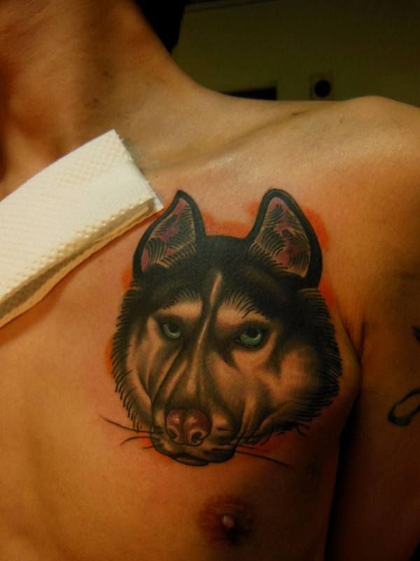 犬,ポートレイト,ポートレート,カラータトゥー/刺青デザイン画像