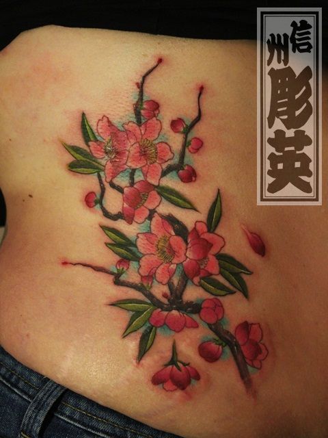 桜,腰,女性,花タトゥー/刺青デザイン画像