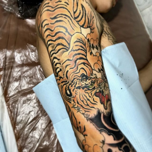 腕,虎,カラー,カラフルタトゥー/刺青デザイン画像