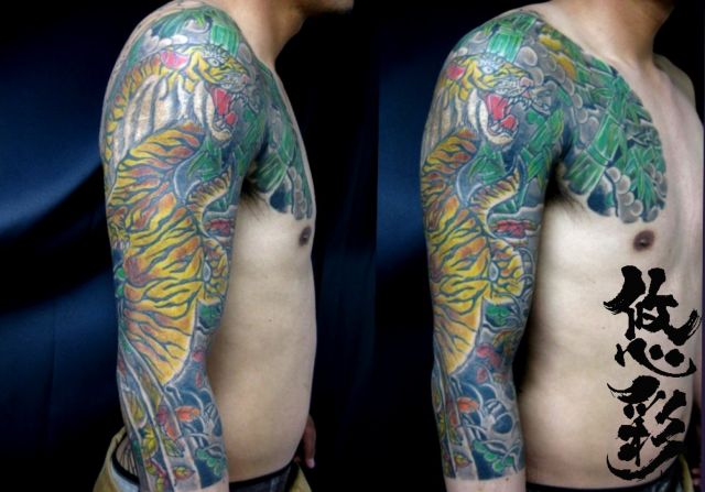 腕,二の腕,肩腕,額,虎,竹,七分袖,刺青,額彫り,カラータトゥー/刺青デザイン画像