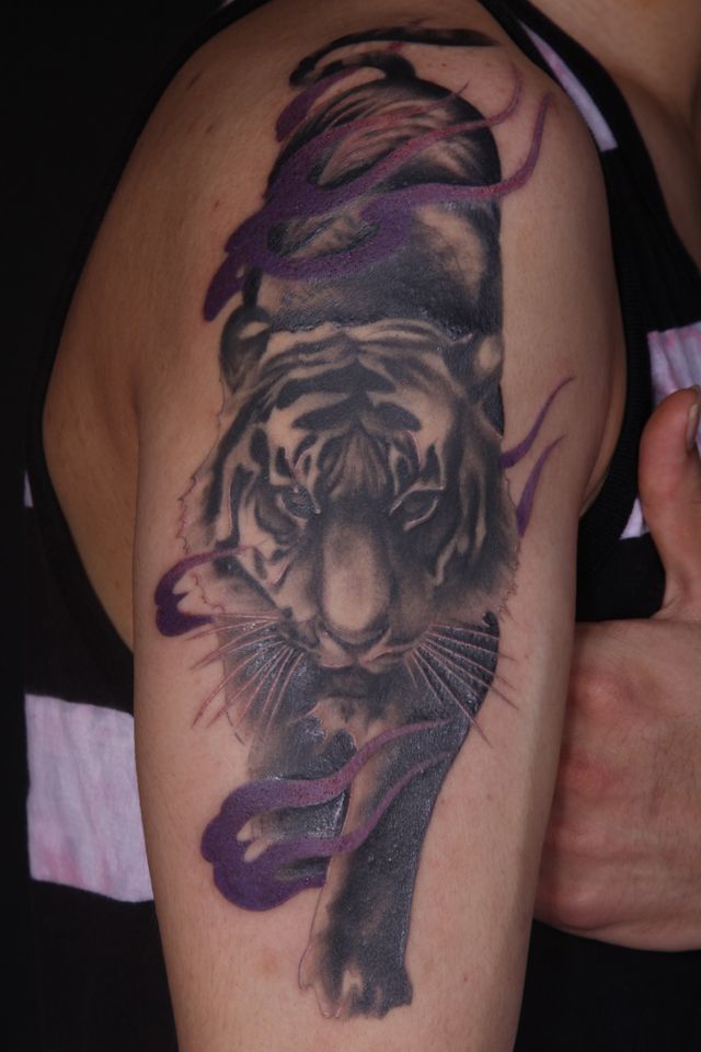 虎,肩,動物タトゥー/刺青デザイン画像