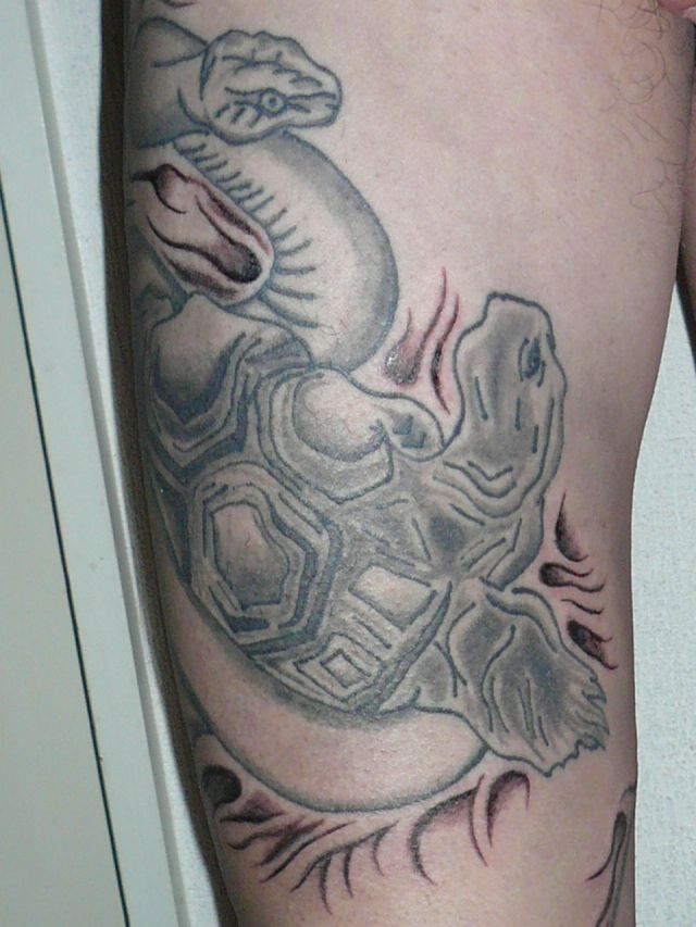 玄武,蛇,亀タトゥー/刺青デザイン画像