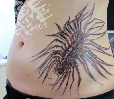 腹,脇腹,昆虫,カラータトゥー/刺青デザイン画像
