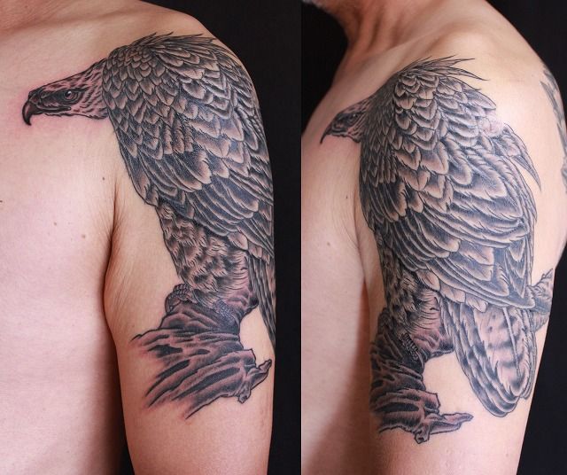 腕,鷹,ブラック＆グレータトゥー/刺青デザイン画像