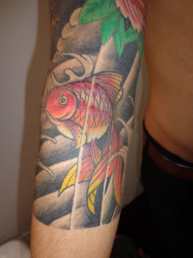 金魚,カラー,腕タトゥー/刺青デザイン画像