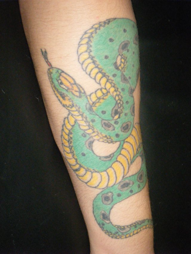 足,大蛇,カラータトゥー/刺青デザイン画像