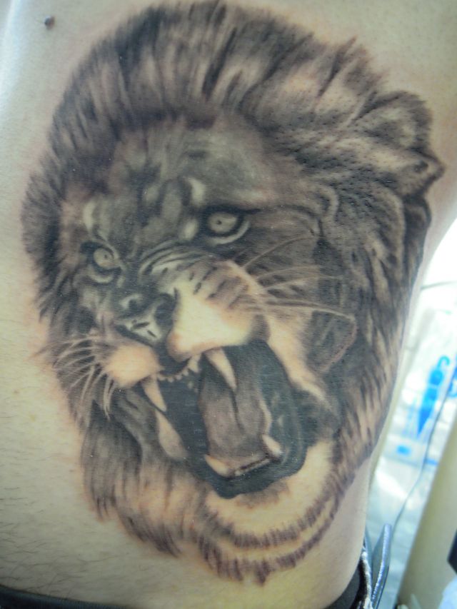 ライオン,ブラック＆グレイタトゥー/刺青デザイン画像