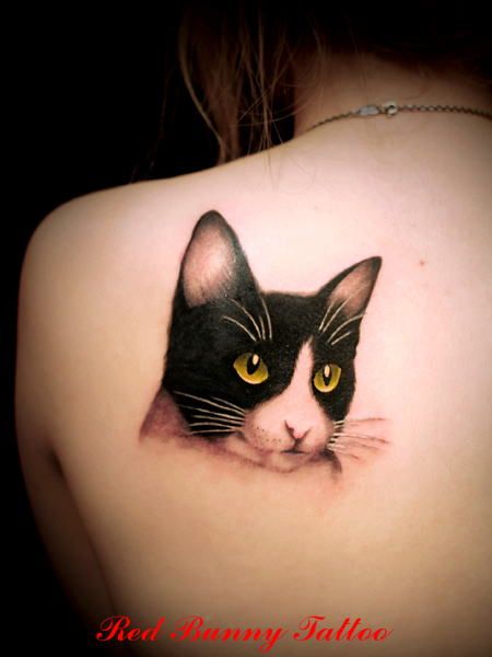 猫,動物,動物タトゥー/刺青デザイン画像