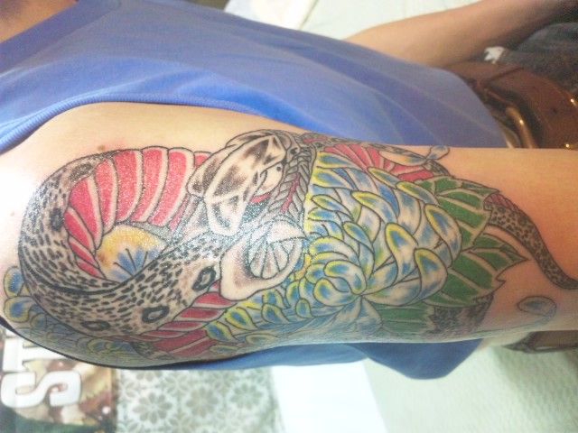 腕,蛇,菊,カラー,カラフルタトゥー/刺青デザイン画像