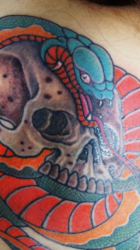 蛇,スカル,カラータトゥー/刺青デザイン画像