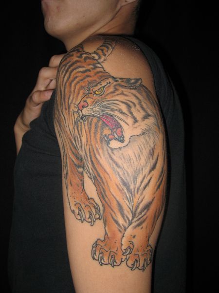 腕,虎,動物タトゥー/刺青デザイン画像