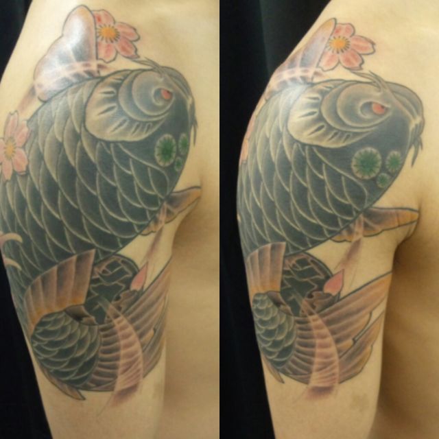 鯉,桜,腕タトゥー/刺青デザイン画像