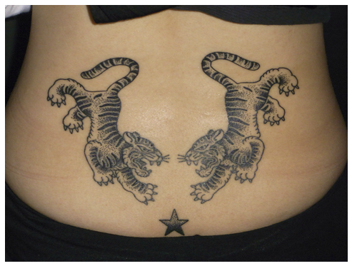 女性,腰,虎,星,ブラック＆グレータトゥー/刺青デザイン画像