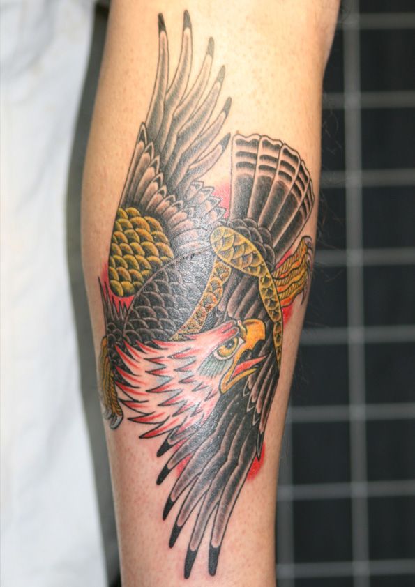 腕,鳥,鷲,動物タトゥー/刺青デザイン画像
