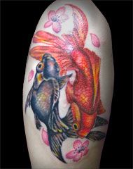 肩,金魚,桜タトゥー/刺青デザイン画像