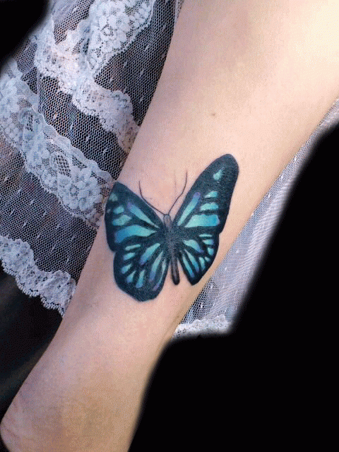蝶,腕,女性タトゥー/刺青デザイン画像