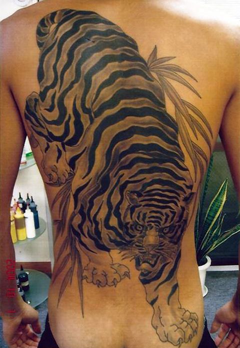 背中,虎,ブラック＆グレイ,烏彫りタトゥー/刺青デザイン画像