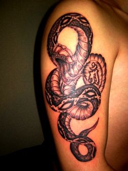 肩,蛇,ブラック＆グレータトゥー/刺青デザイン画像
