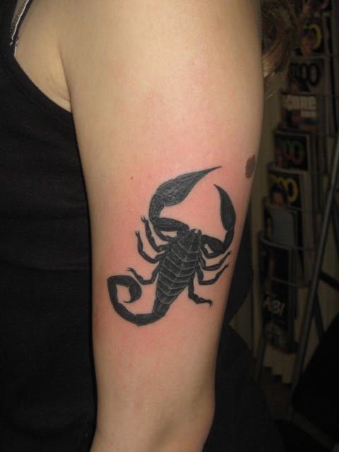 腕,蠍,ブラック＆グレータトゥー/刺青デザイン画像