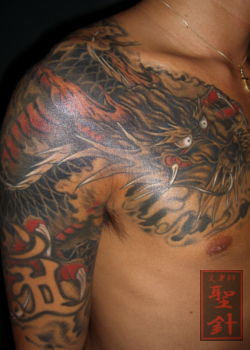 腕,胸,龍,五分袖,カラータトゥー/刺青デザイン画像