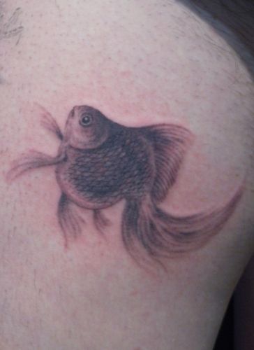 金魚,ブラック＆グレイ,足タトゥー/刺青デザイン画像