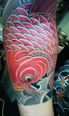 金魚,腕タトゥー/刺青デザイン画像