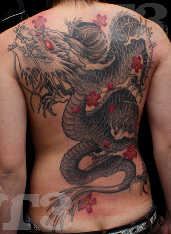 背中,龍,カラー,桜タトゥー/刺青デザイン画像