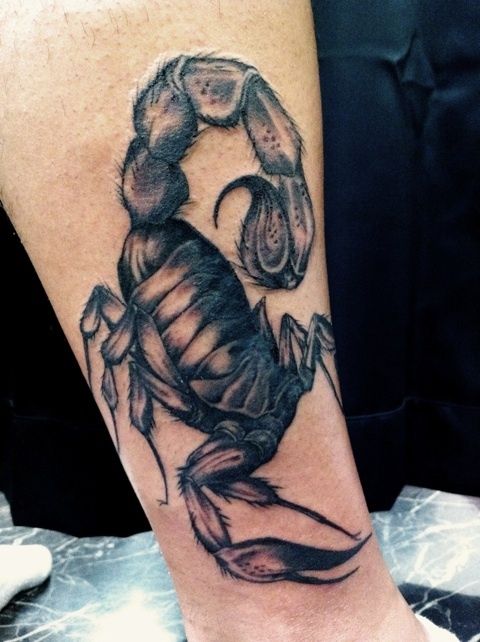 蠍,ブラック＆グレー,生物タトゥー/刺青デザイン画像
