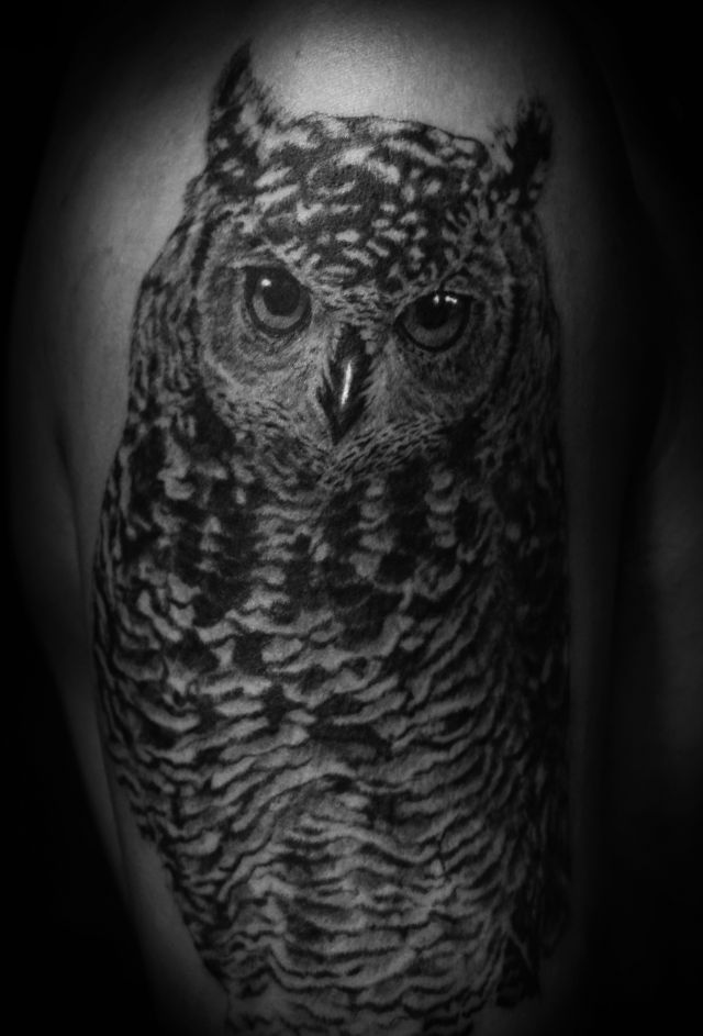 腕,肩,肩腕,梟,鳥,フクロウ,リアリスティック,リアルスティック,ブラック＆グレイ,ブラック＆グレー,烏彫り,ブラック＆グレイタトゥー/刺青デザイン画像