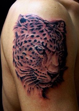 動物,虎,ブラック＆グレー,動物タトゥー/刺青デザイン画像