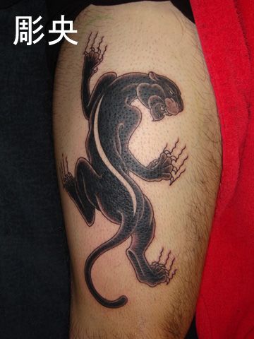 パンサー,動物,ブラックパンサータトゥー/刺青デザイン画像