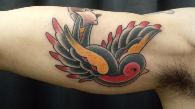鳥,カラー,腕タトゥー/刺青デザイン画像