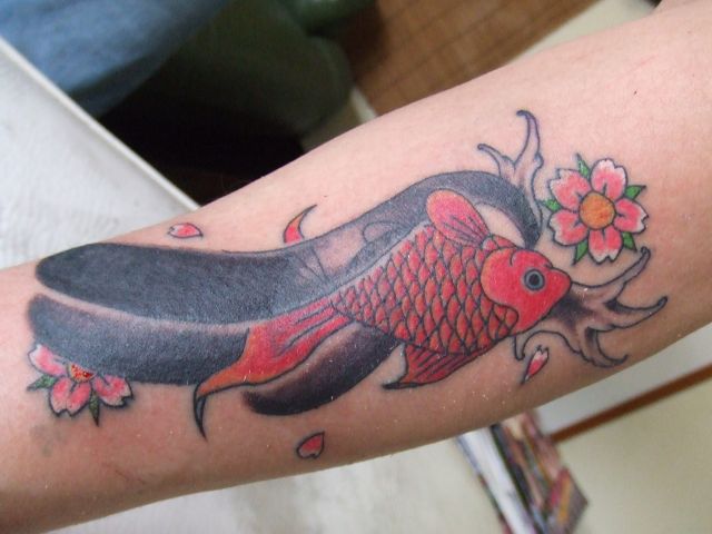 金魚,桜,カラータトゥー/刺青デザイン画像