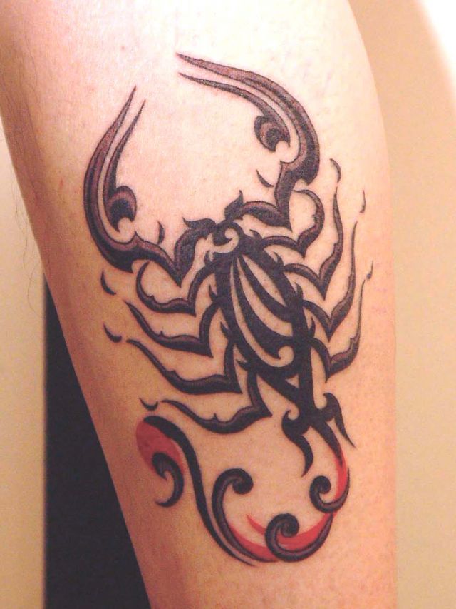 腕,サソリ,トライバルタトゥー/刺青デザイン画像