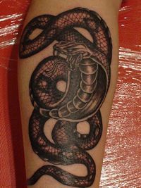 足,蛇,ブラック＆グレータトゥー/刺青デザイン画像