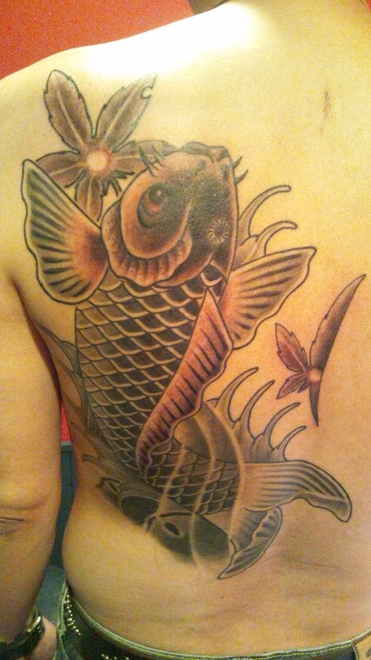 背中,鯉,烏彫りタトゥー/刺青デザイン画像